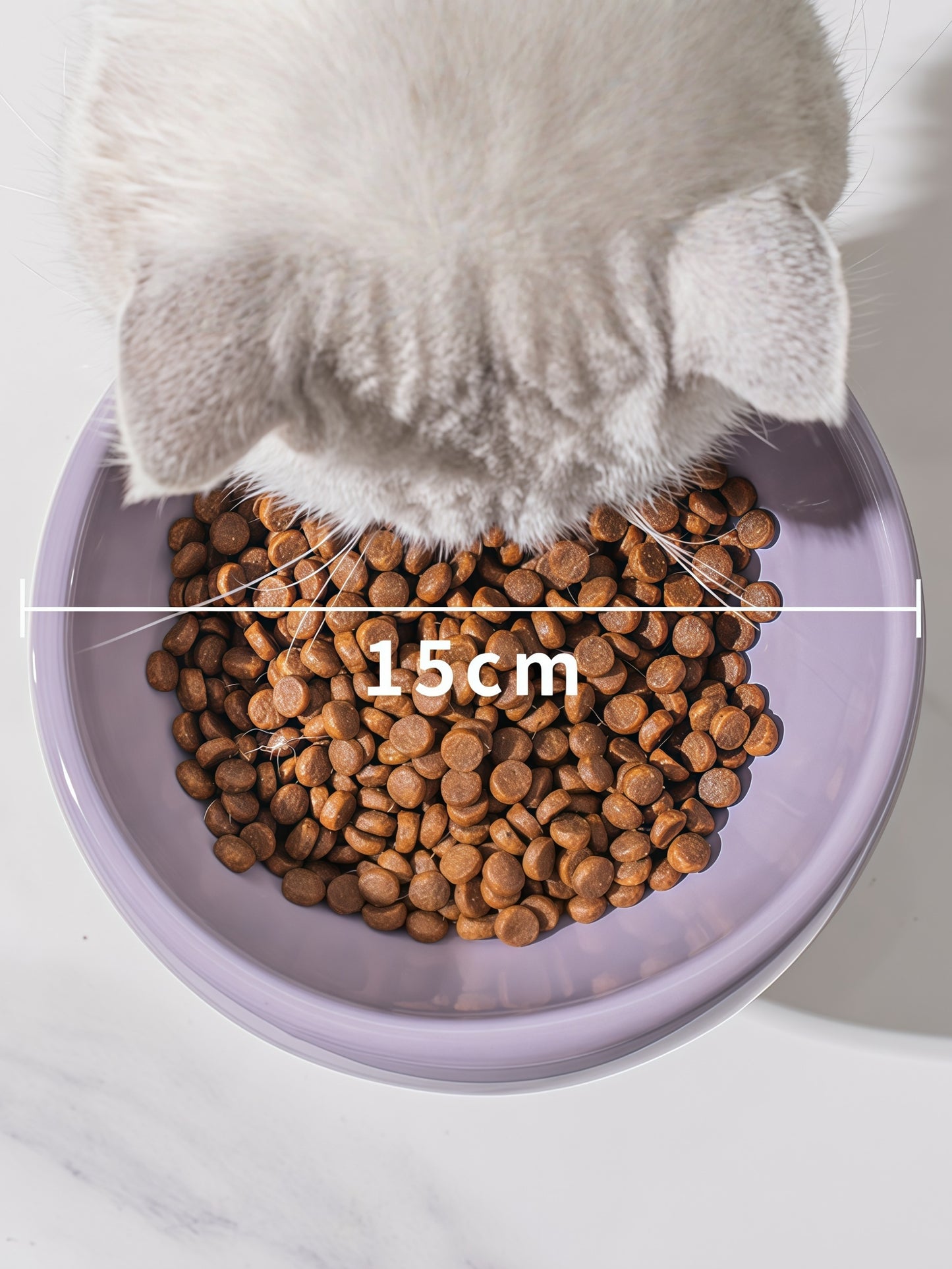 Ice-Cream Style Ceramic Cat Bowl