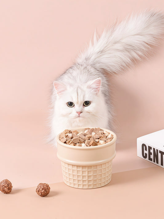 Ice Cream Cone Ceramic Pet Bowl