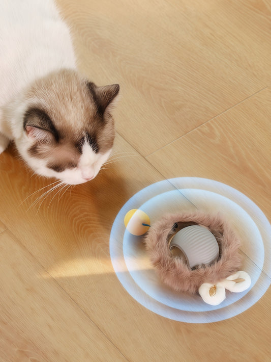 Interactive Rolling Cat Ball