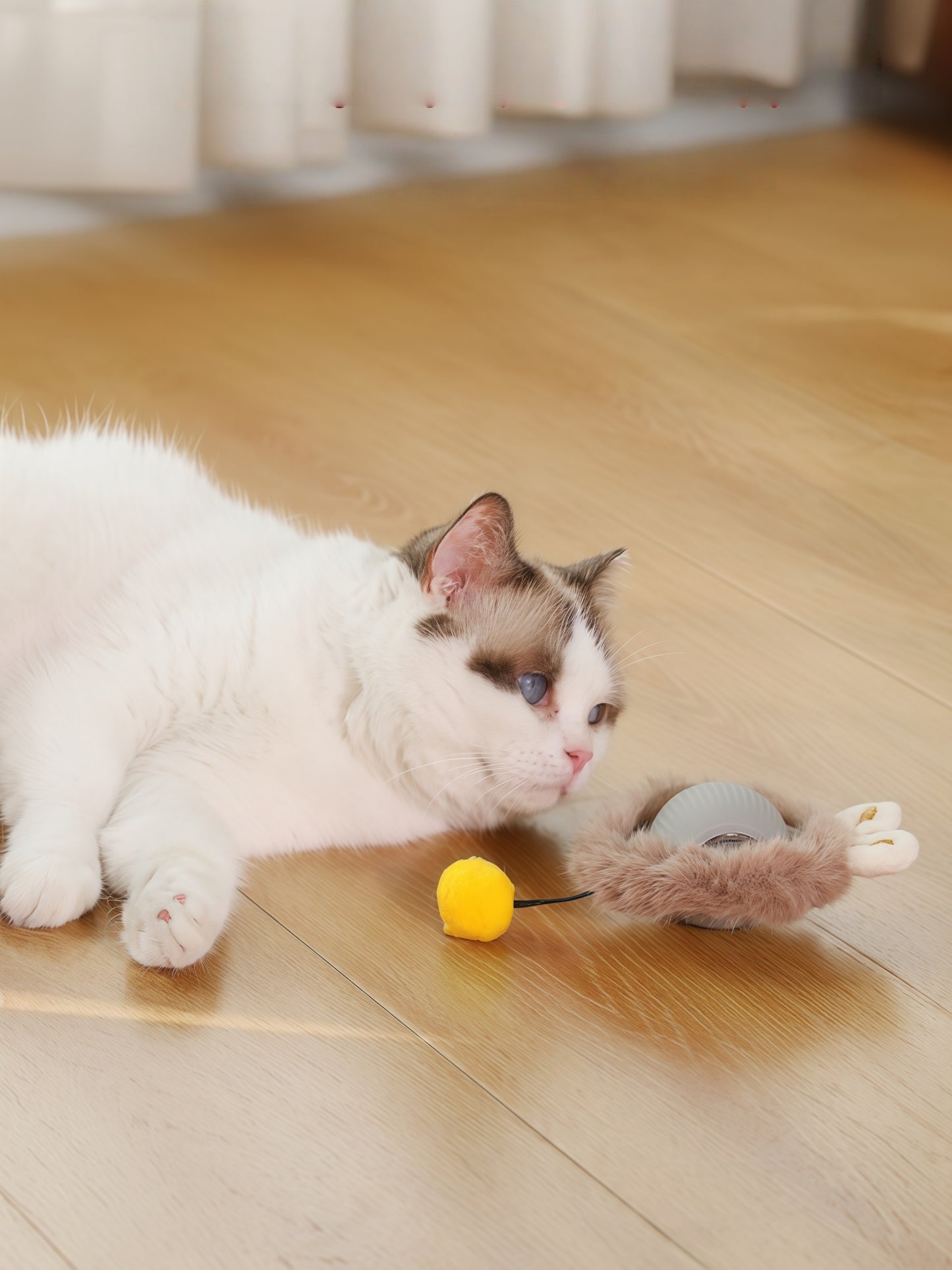 Interactive Rolling Cat Ball