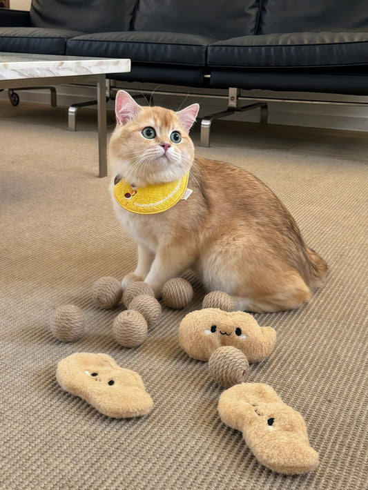 TOOCAT Peanut Cat Toy Set