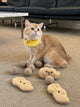 TOOCAT Peanut Cat Toy Set