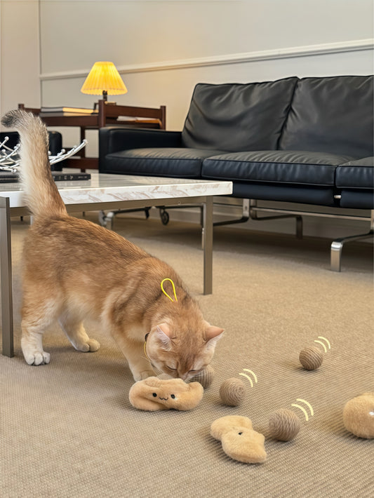 TOOCAT Peanut Cat Toy Set