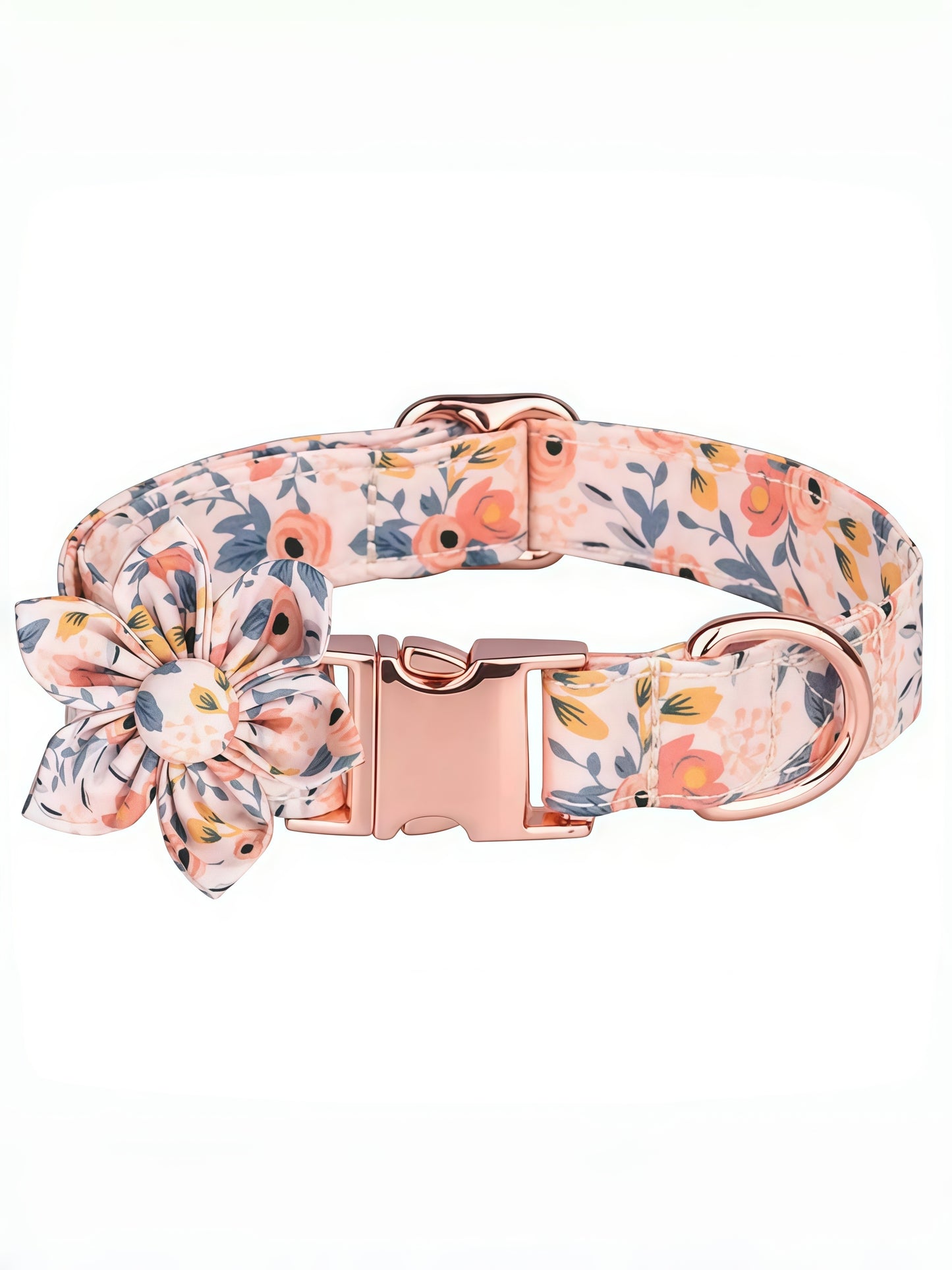 Personalized Dog Collar & Leash Set