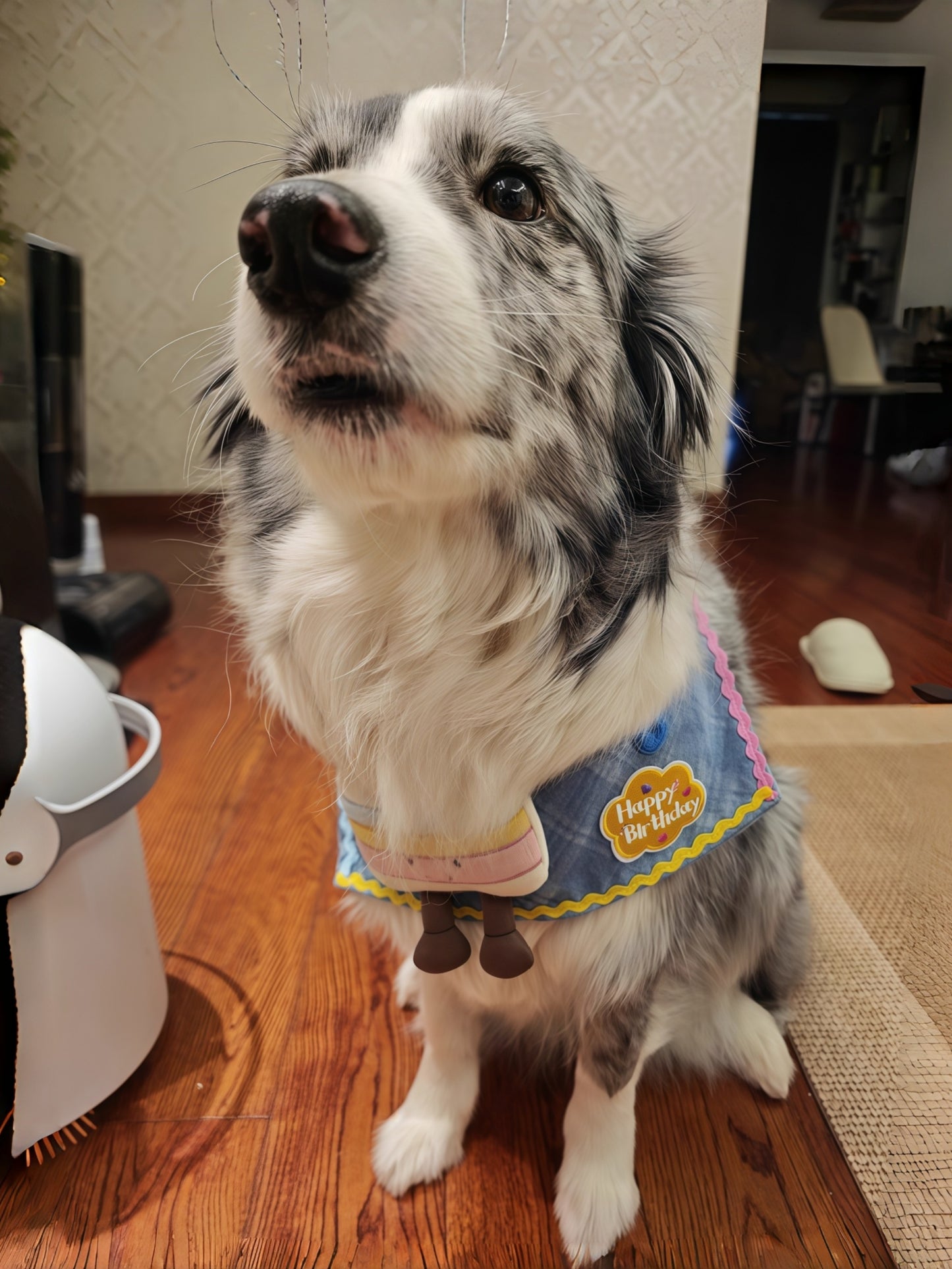 LUUFIFI Adjustable Pet Birthday Bandana Bib