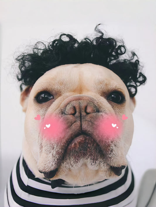 Creative Pet Funny Wig Headgear