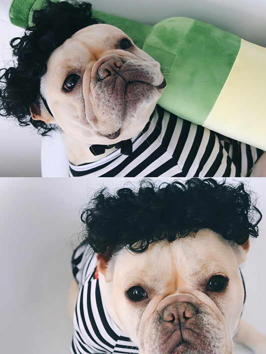 Creative Pet Funny Wig Headgear