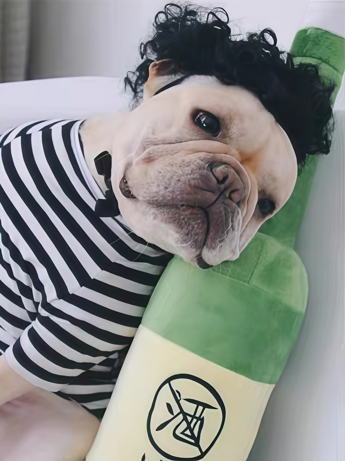 Creative Pet Funny Wig Headgear