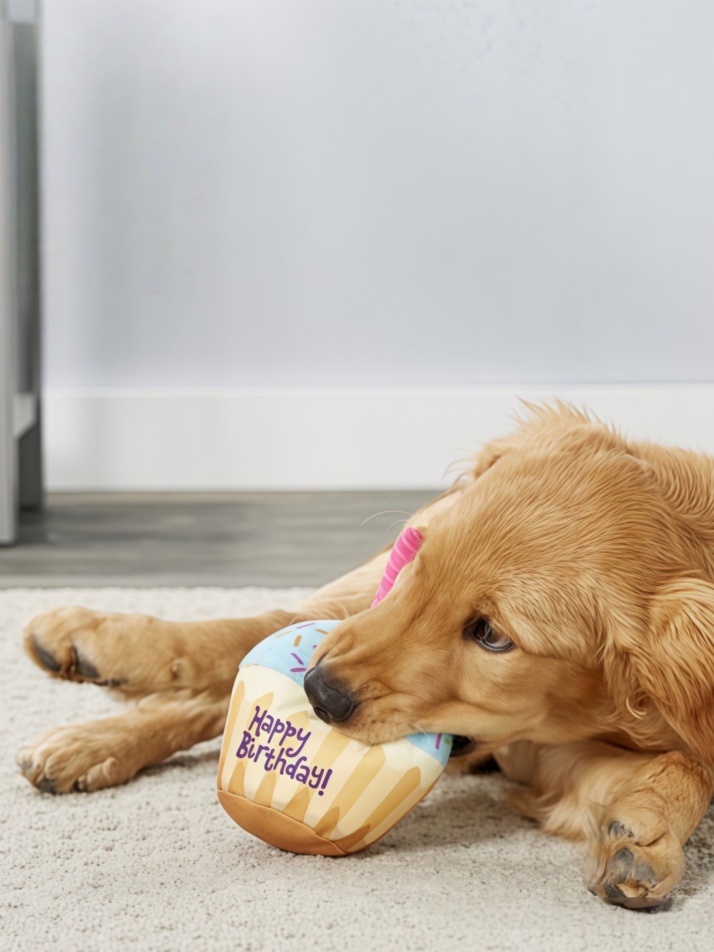 Plush Dog Birthday Squeaky Toy