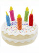 Plush Dog Birthday Squeaky Toy