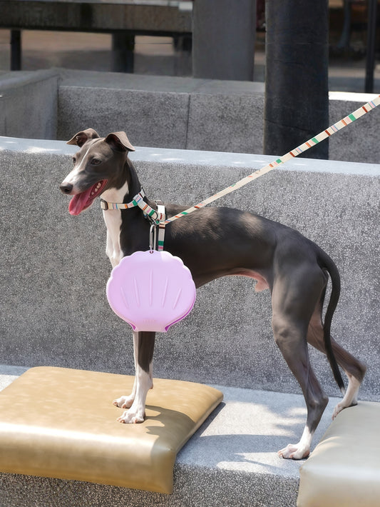 Shell-Shaped Collapsible Double Pet Travel Bowl