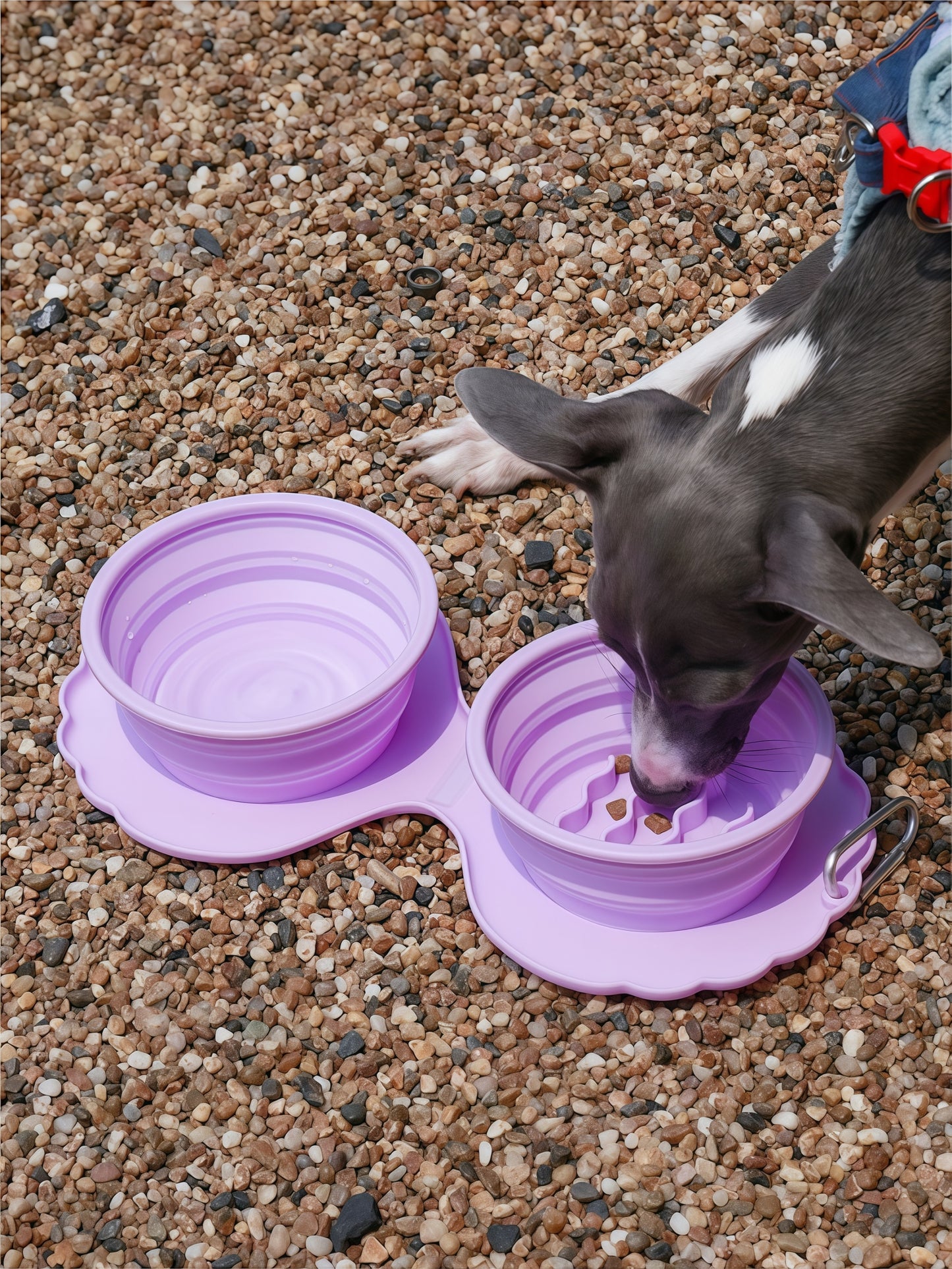 Shell-Shaped Collapsible Double Pet Travel Bowl