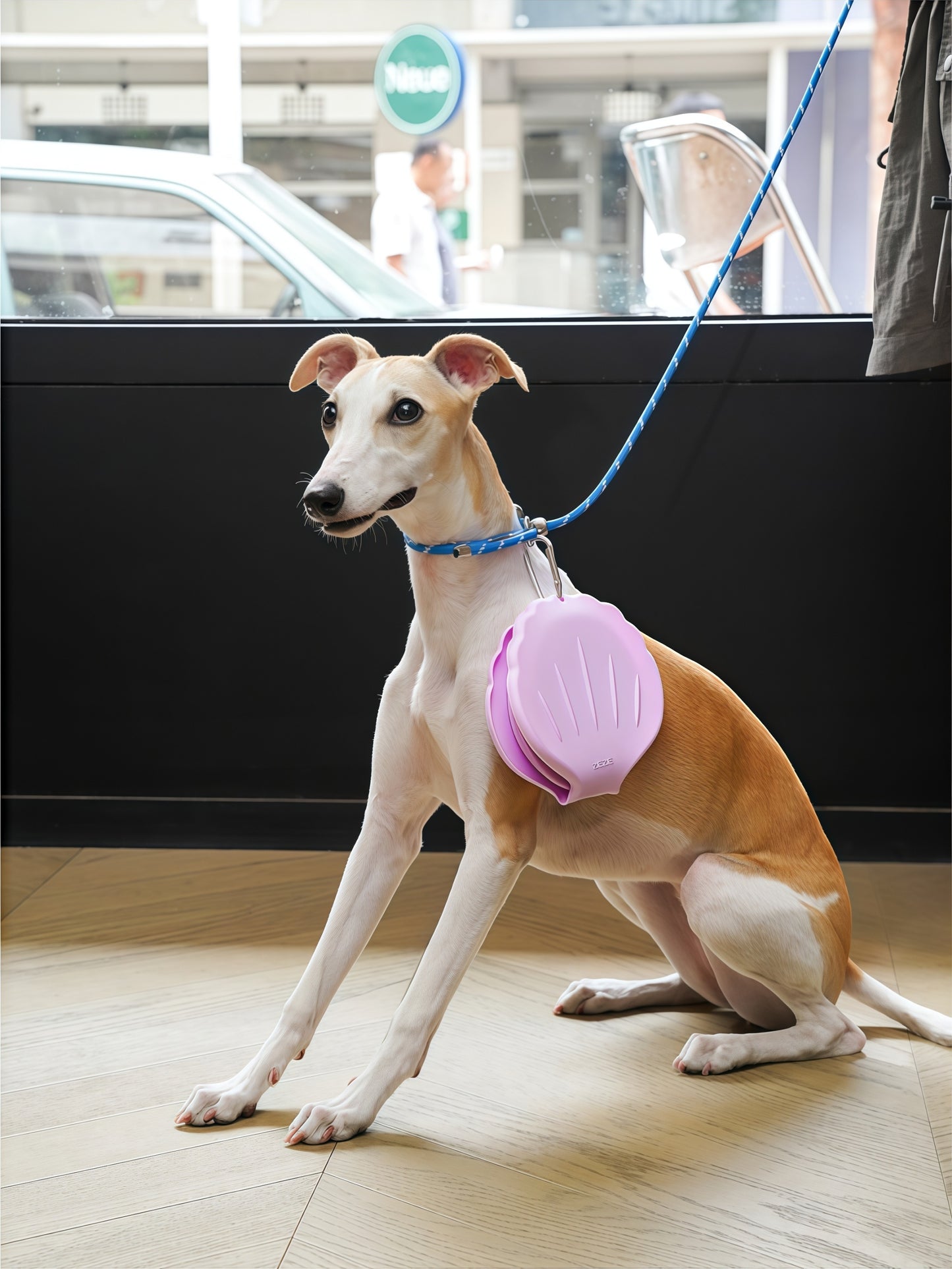Shell-Shaped Collapsible Double Pet Travel Bowl
