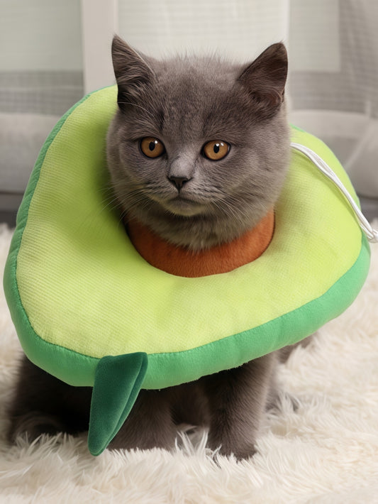 Adjustable Soft Pet Recovery Collar