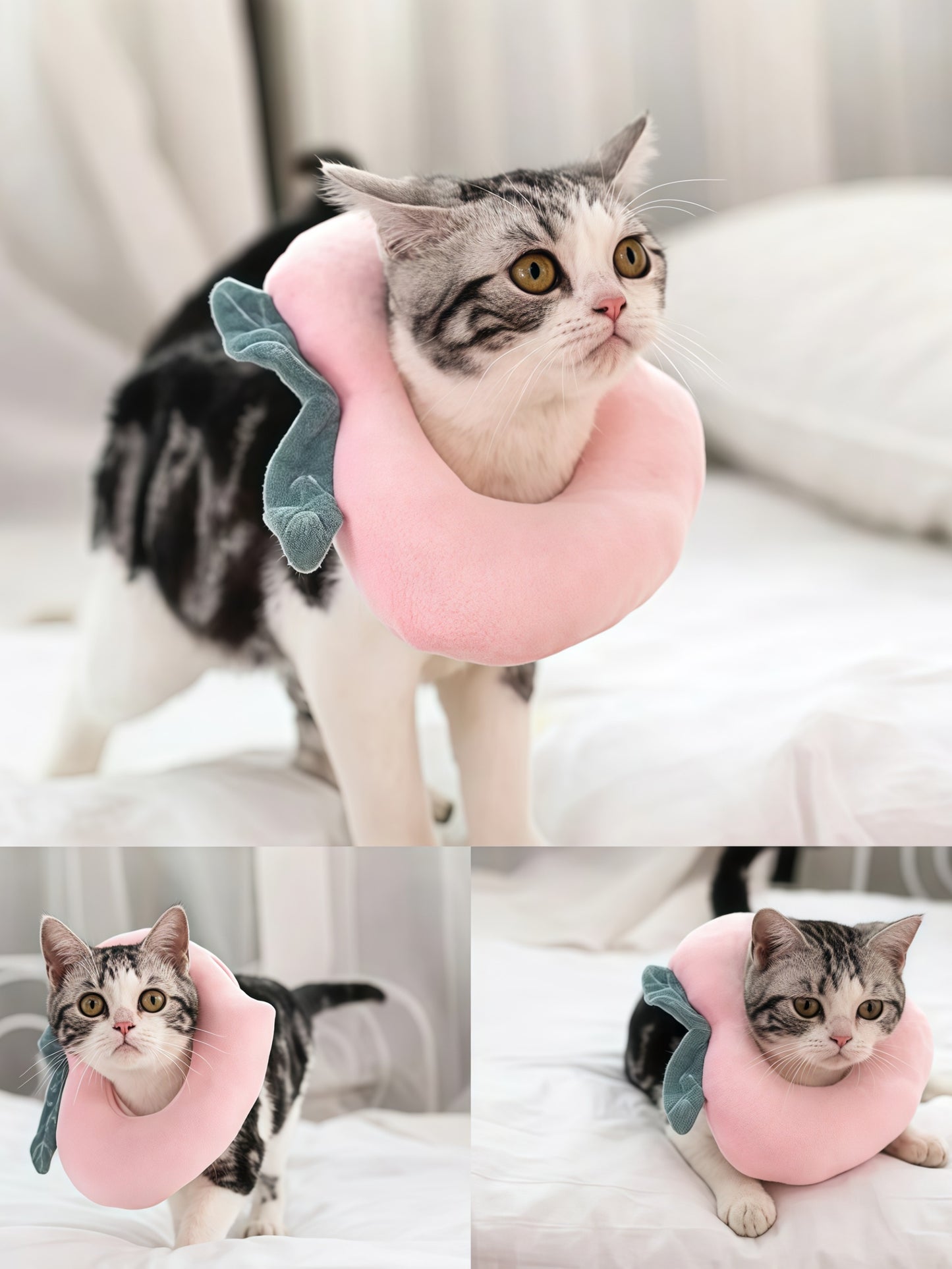 Adjustable Soft Pet Recovery Collar