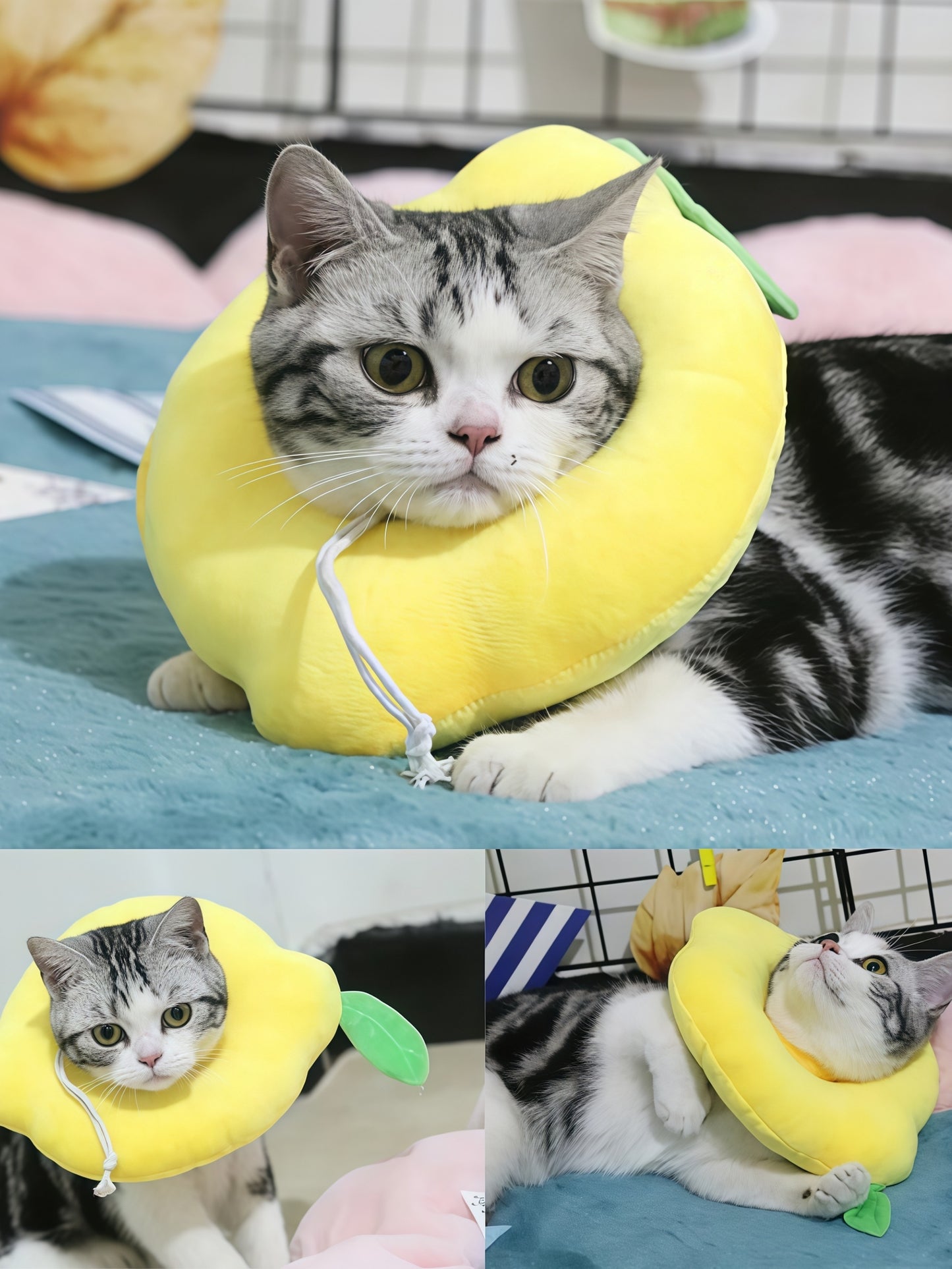 Adjustable Soft Pet Recovery Collar