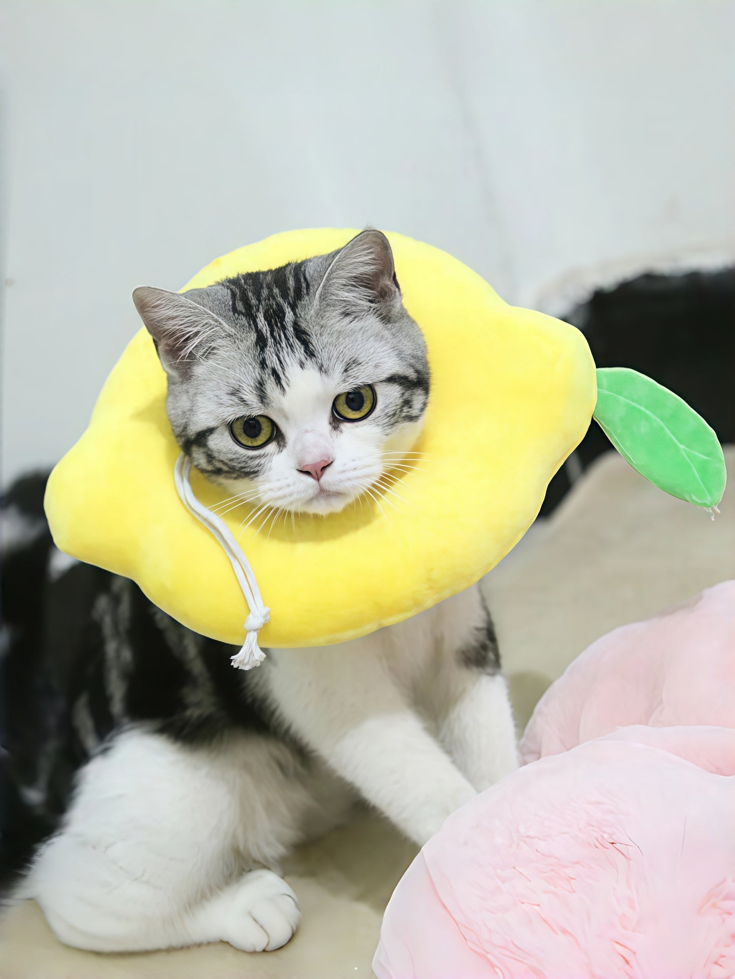 Adjustable Soft Pet Recovery Collar