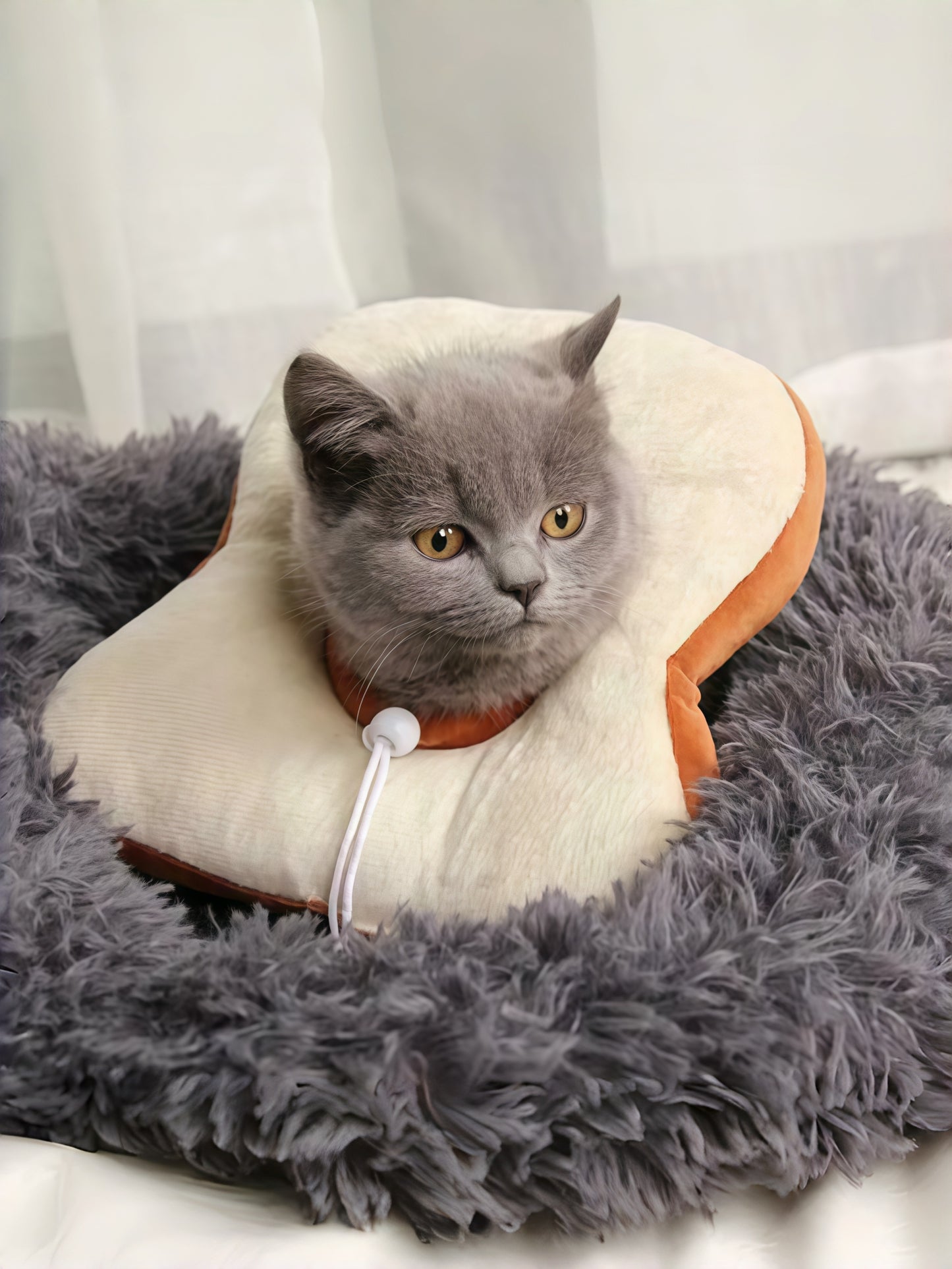 Adjustable Soft Pet Recovery Collar