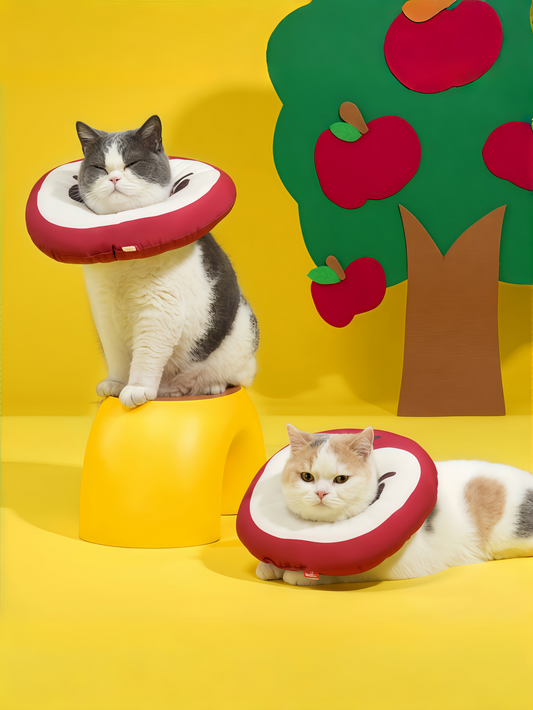 Soft Water-Resistant Pet Recovery Cone