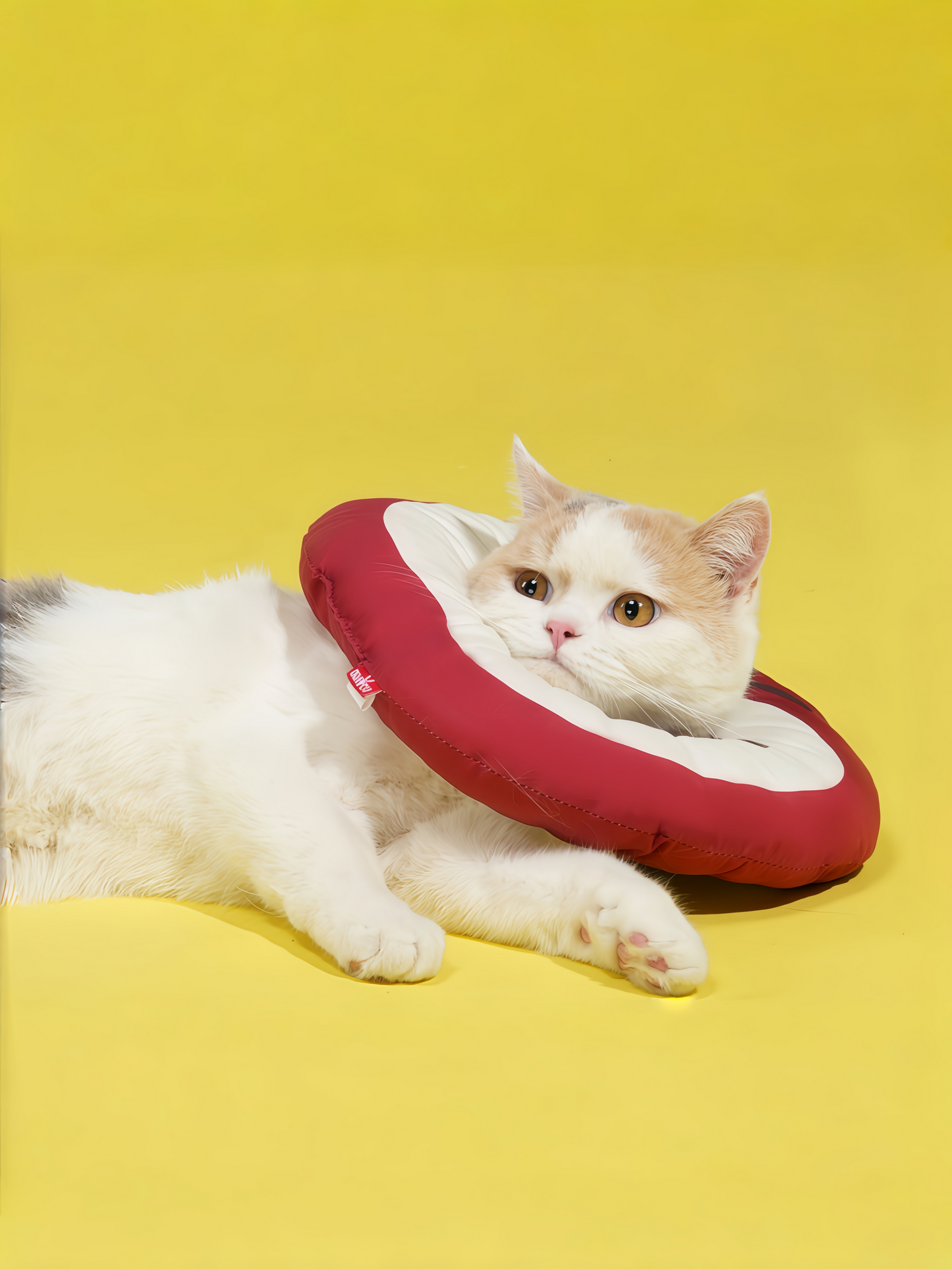 Soft Water-Resistant Pet Recovery Cone