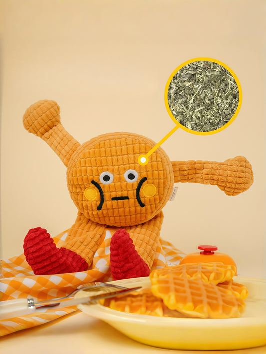 Squeaky Catnip Toy for Cats & Small Dogs