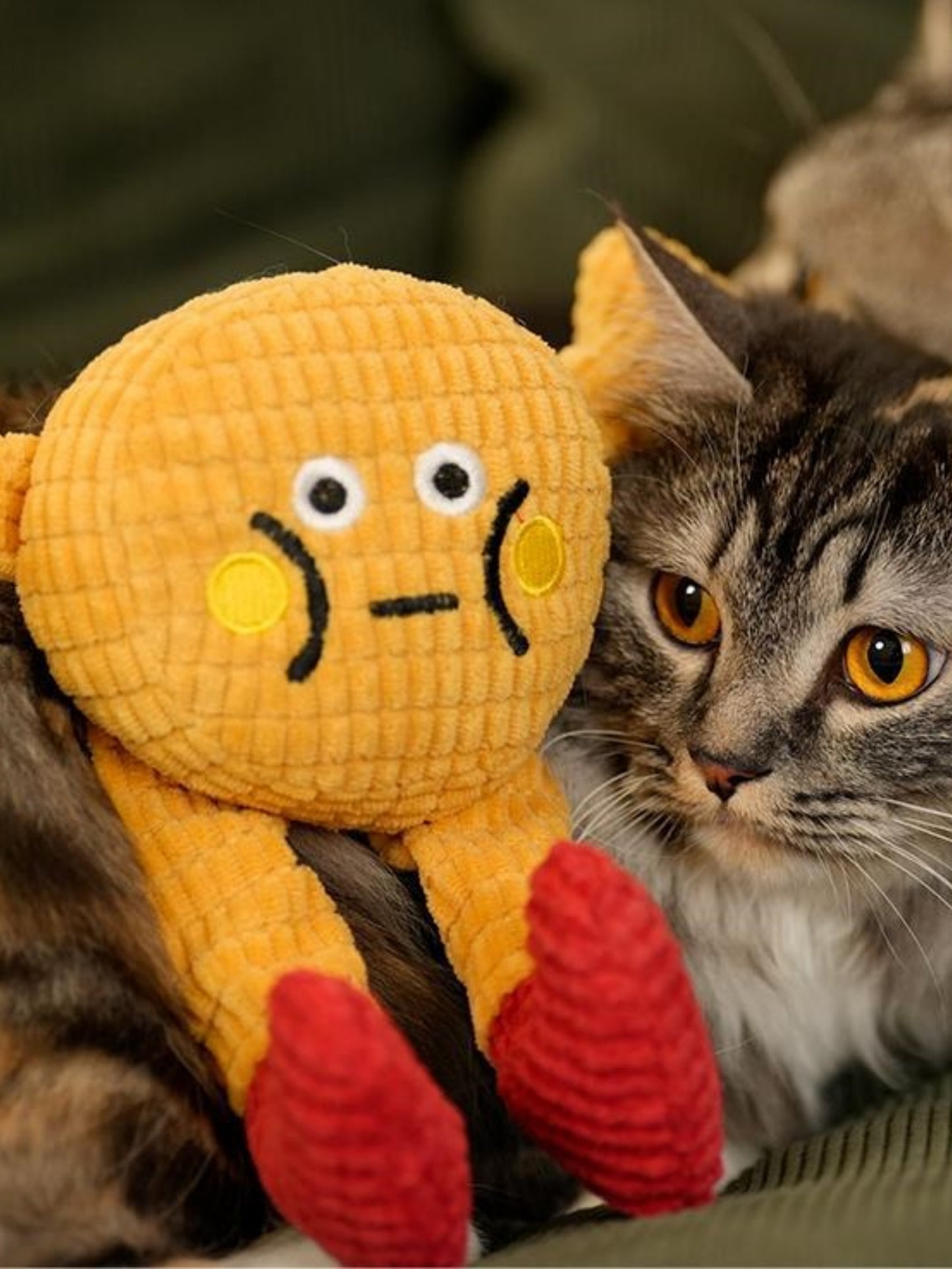 Squeaky Catnip Toy for Cats & Small Dogs