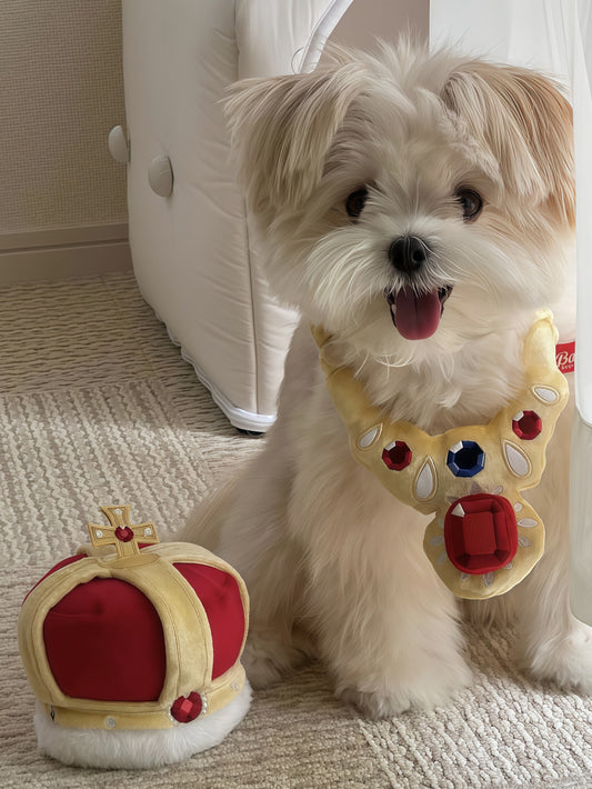 Squeaky Crown & Gem Plush Chew Toy Set