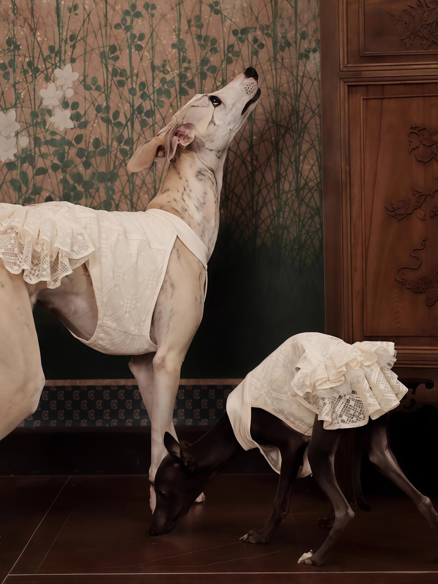 Chico studio Plaid Lace Dog Dress