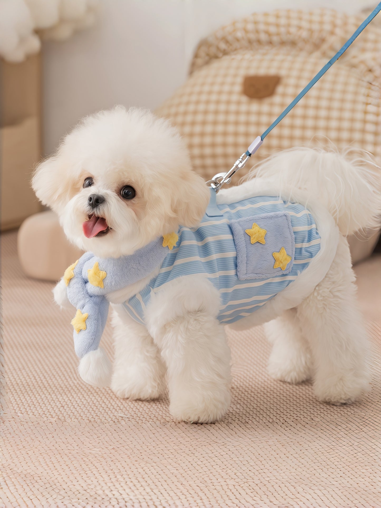 Star Scarf Striped Harness Vest Jacket