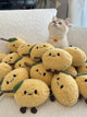 Lemon Cat Chew Toy