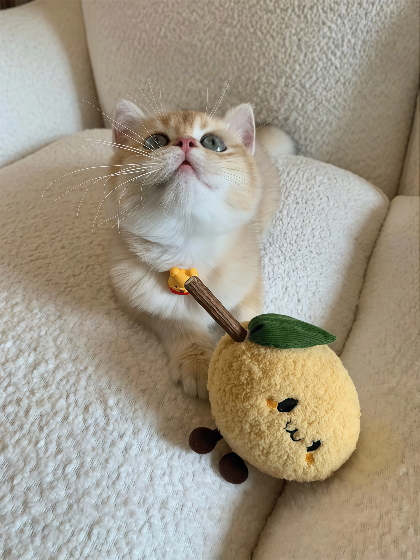Lemon Cat Chew Toy