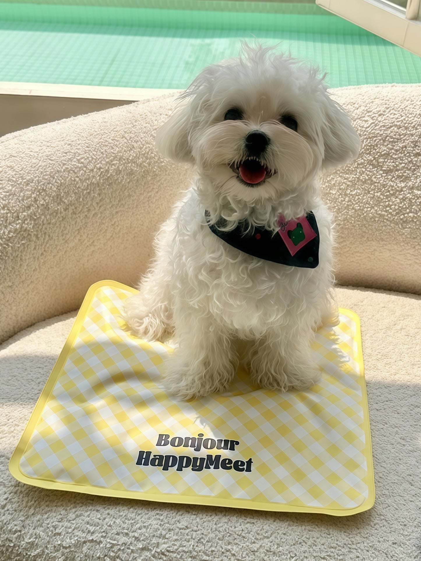 Square Cooling Pet Pad