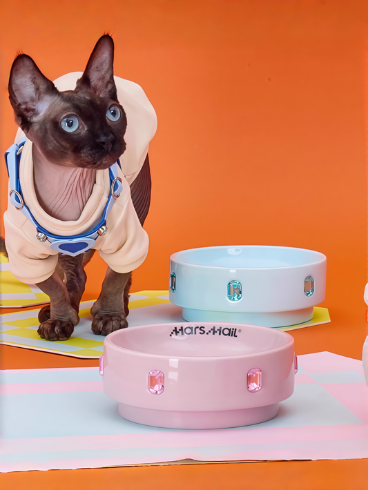 Tower-Inspired Crystal Accent Ceramic Pet Bowl