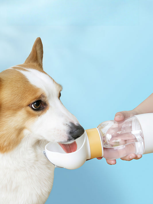 Twist-Release Portable Dog Water Bottle with Wide Drinking Trough